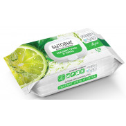 FRESHLAND 120 шт Салфетки влажные, хозяйственные универсальные, с клапаном, Мохито,