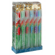 ДР.Клин з/щ (S66)*24/576